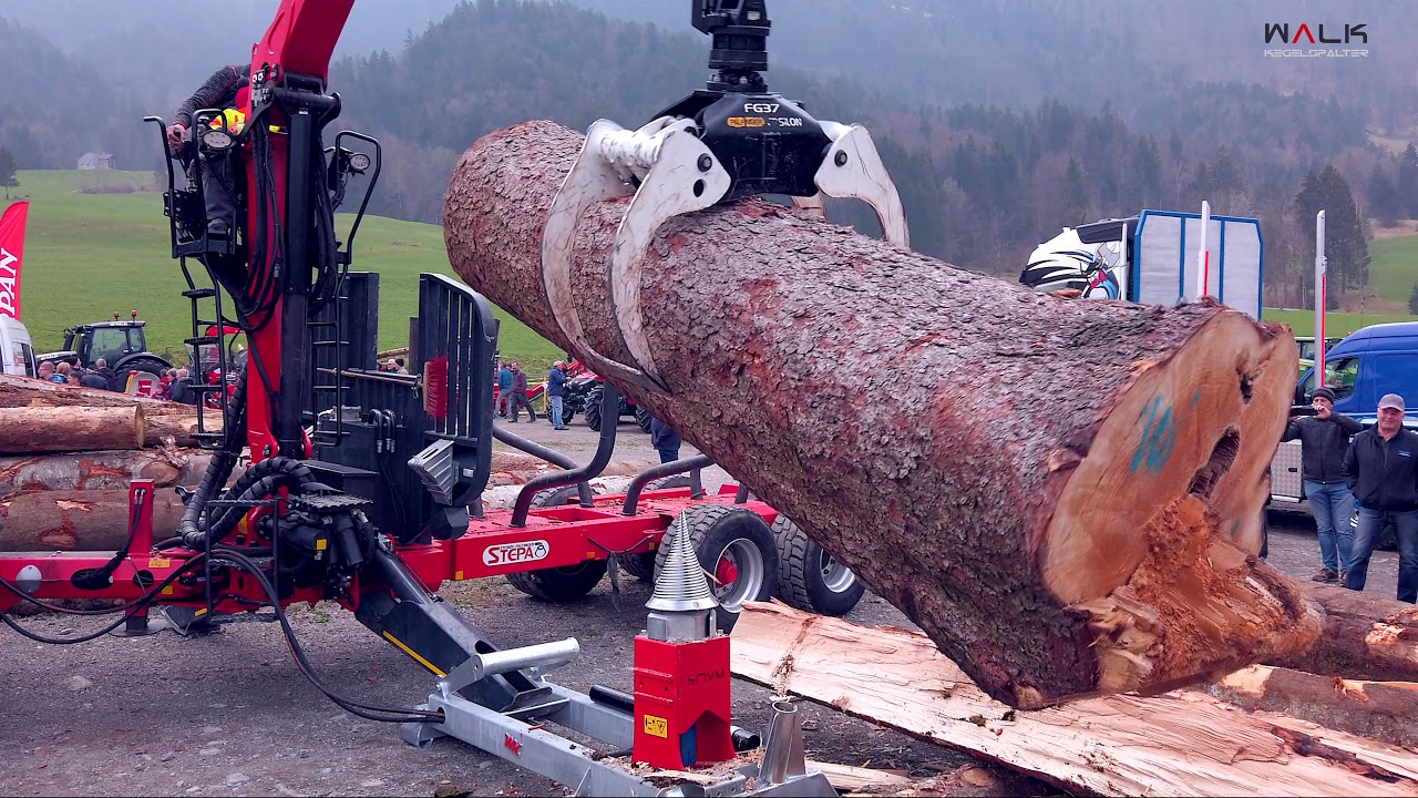 Bregenzerwälder Forsttag 2019