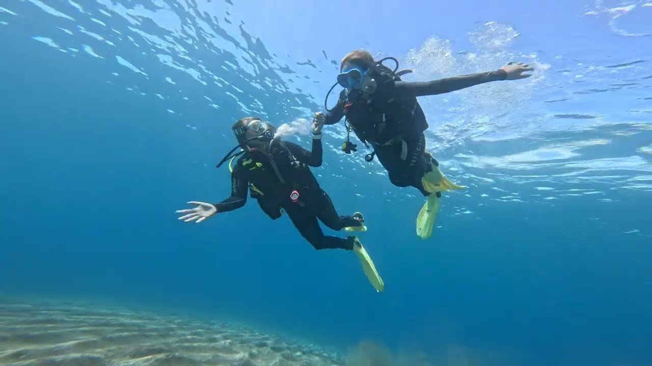 Try Dive