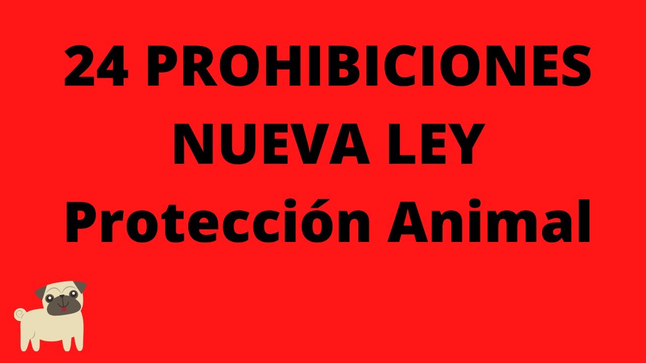 ⚖️🔵24 PROHIBICIONES Nueva Ley Protección Animal🔵⚖️