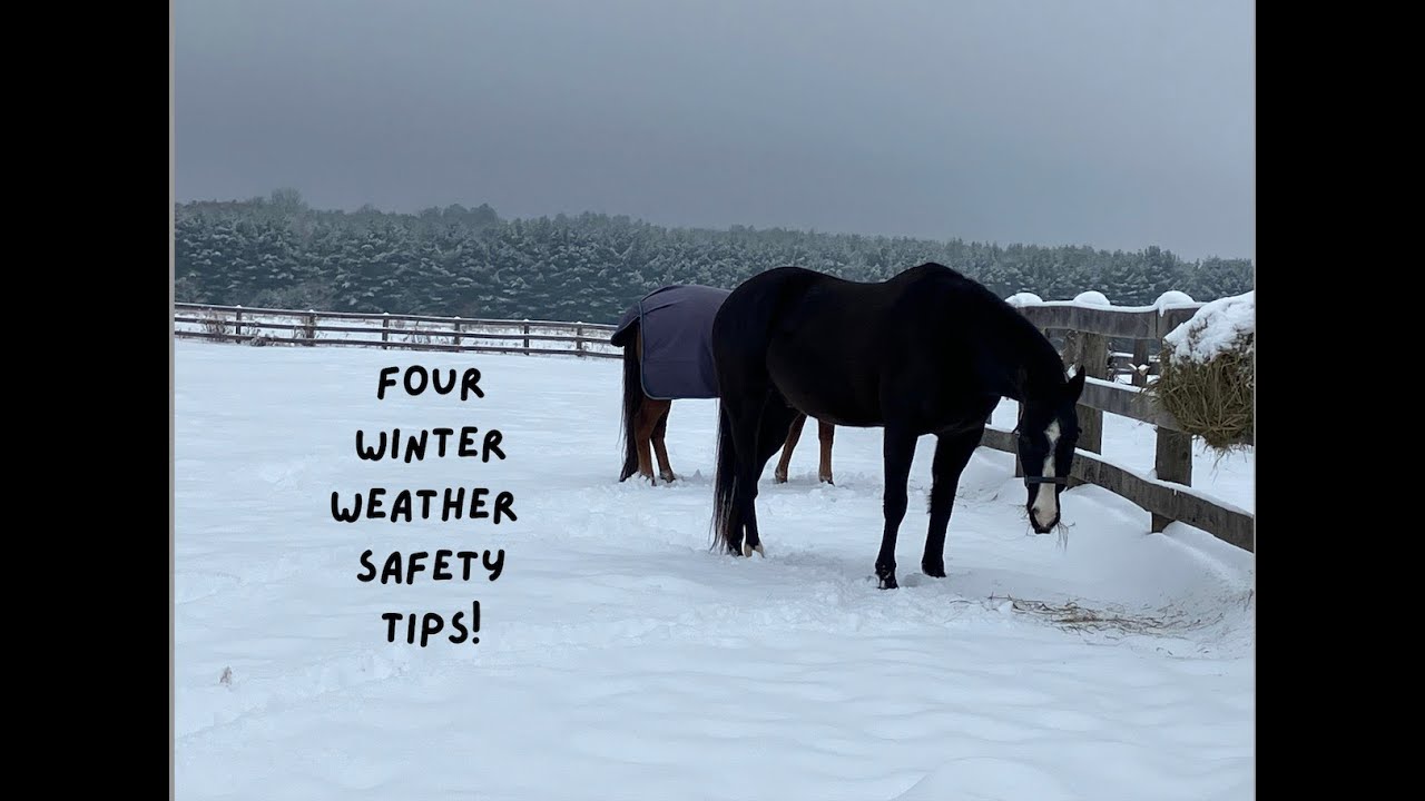 4 Quick Winter Weather Safety Tips