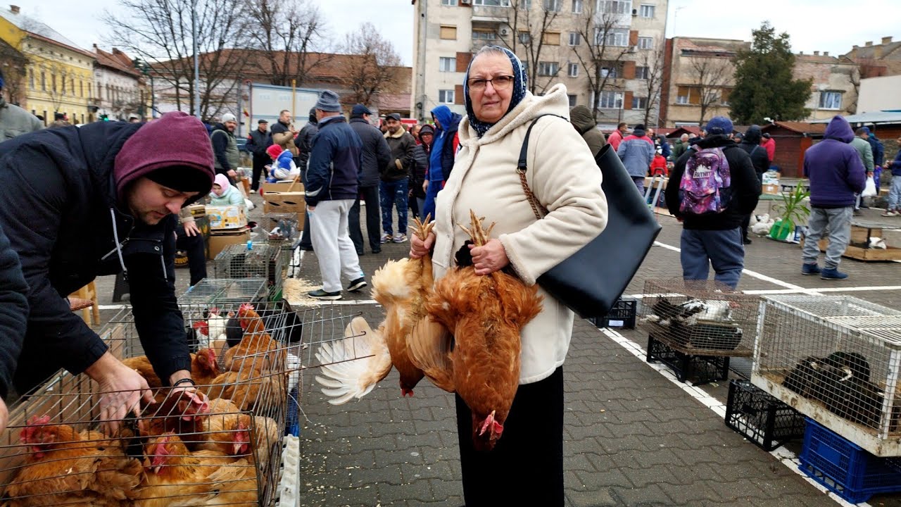 Cu Bunica la piața și la Kaufland ❤️🇷🇴