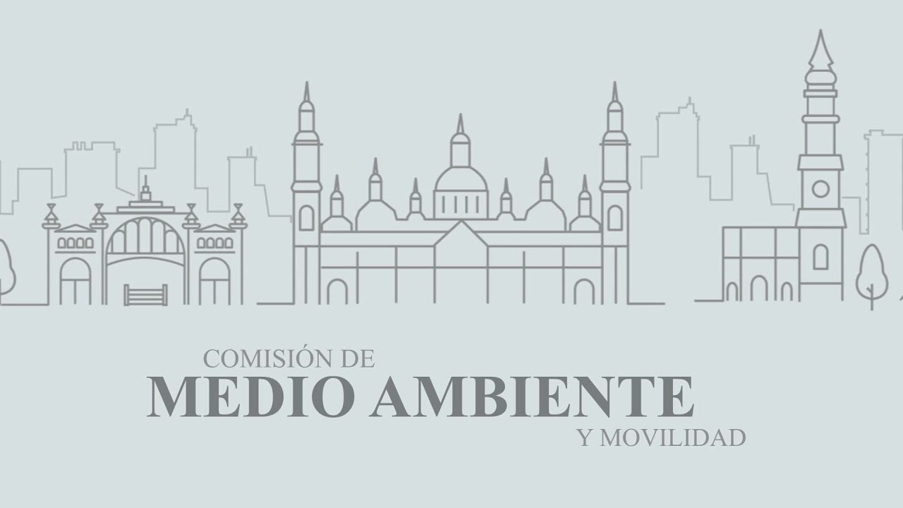 20 de febrero  de 2026. Comisión de Medio Ambiente y Movilidad. (Subtitulada)