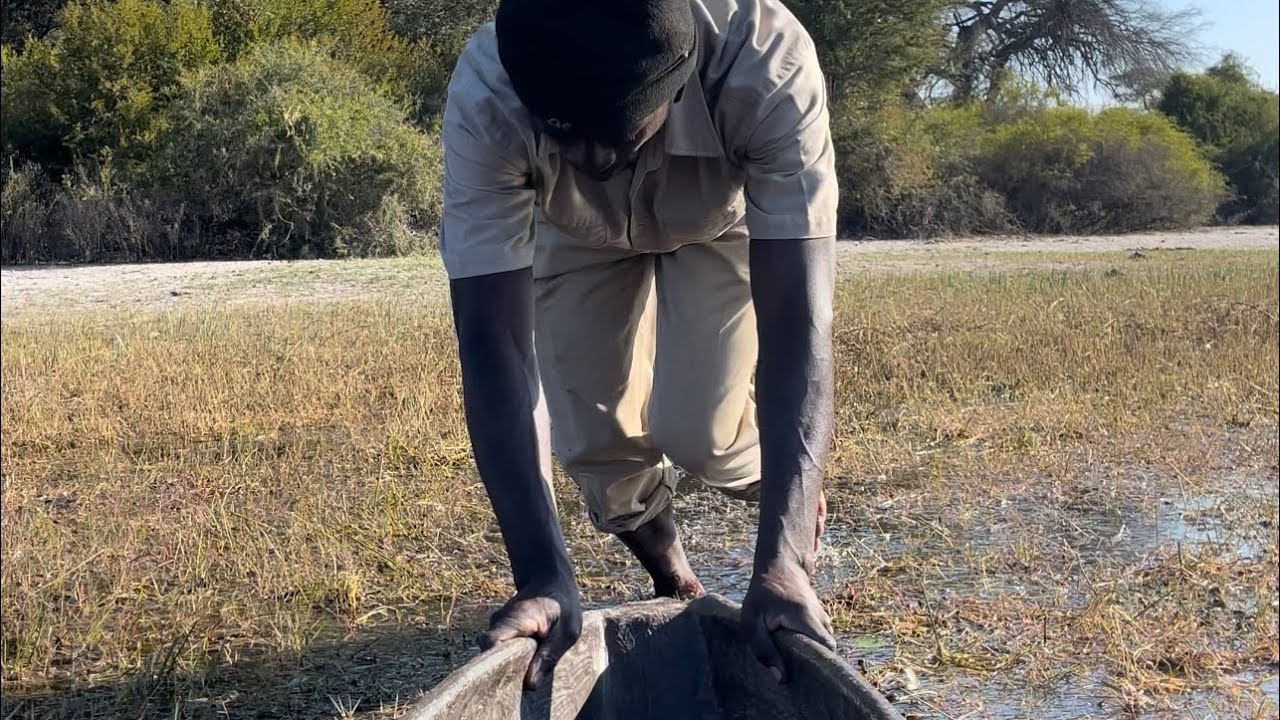 A memorable trip through Mokoro ride across the floodplains near OKAVANGO DELTA in Botswana