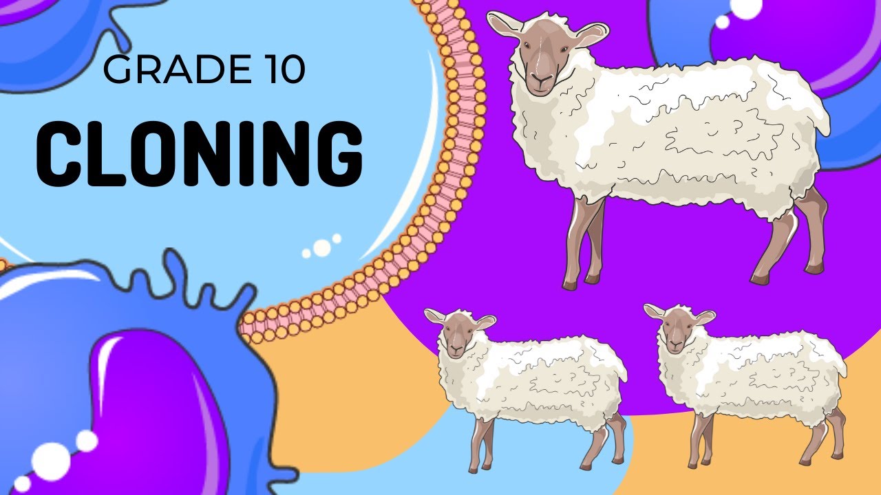Cloning