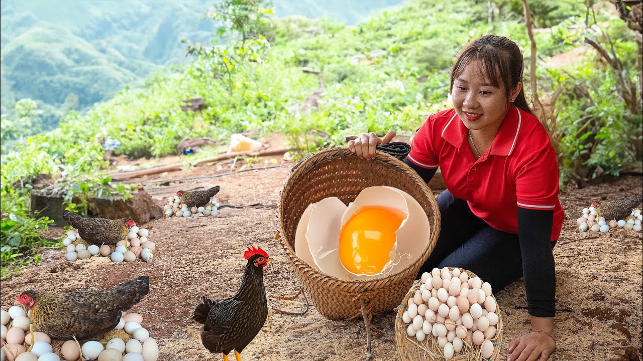 Harvesting a lot of Chicken Eggs Goes to Market Sell - Growing Kohlrabi at Home | Lucia's Daily Life