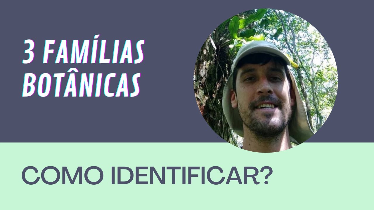 3 FAMÍLIAS BOTÂNICAS QUE VOCÊ PRECISA SABER IDENTIFICAR