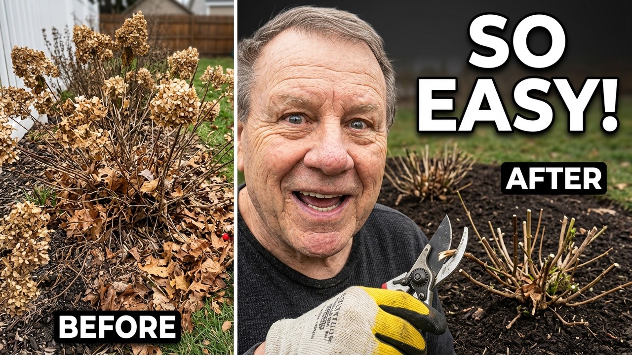 Winter Garden Cleanup: Pruning Techniques That Actually Work!