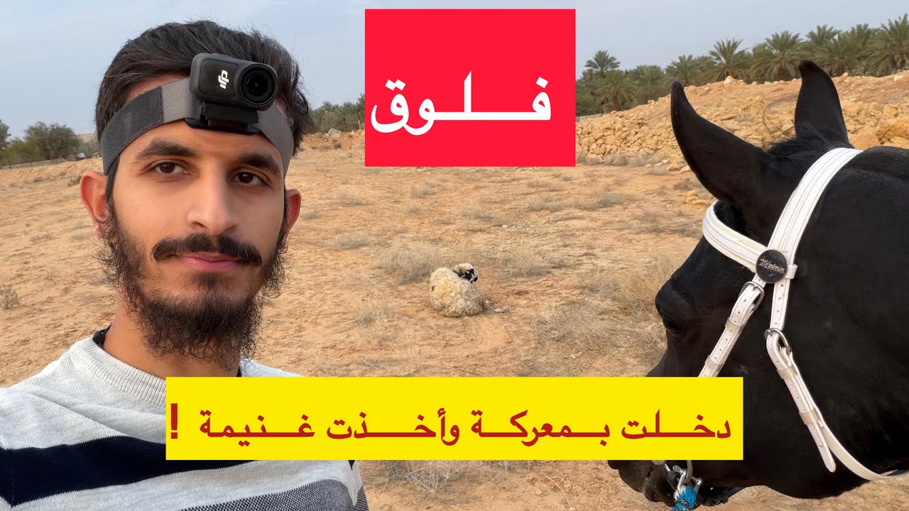 فلوق | لحقت الكلاب وأنقذت الخروف | 🔥🦮🐑