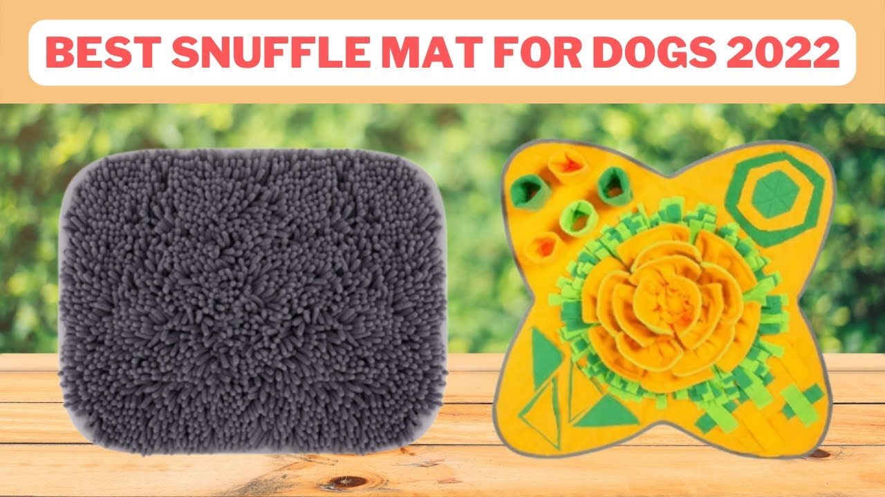 Top 5 Best Snuffle Mat For Dogs reviews 2022