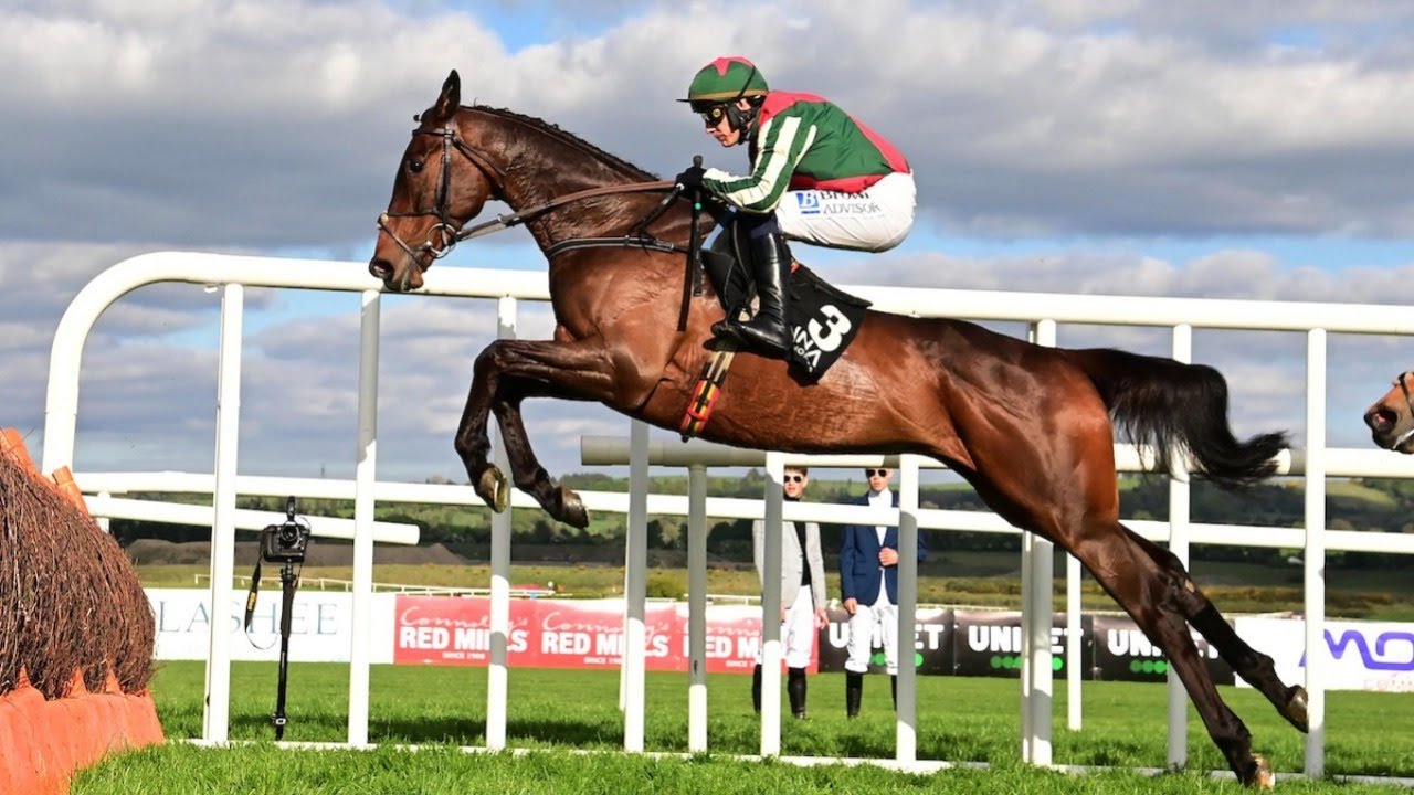 FINAL DEMAND oozes class at Punchestown