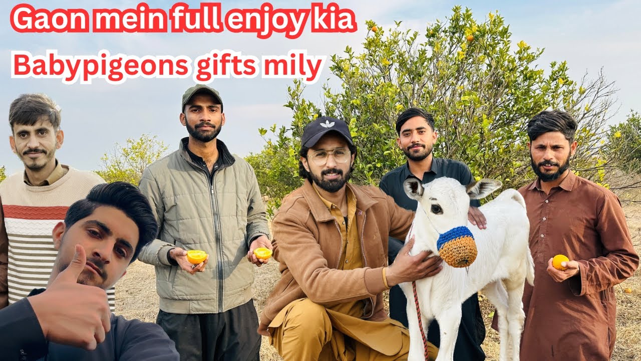 Gaon mein aj full enjoy Kia maza agya 🥰 | Dar pigeons club | 