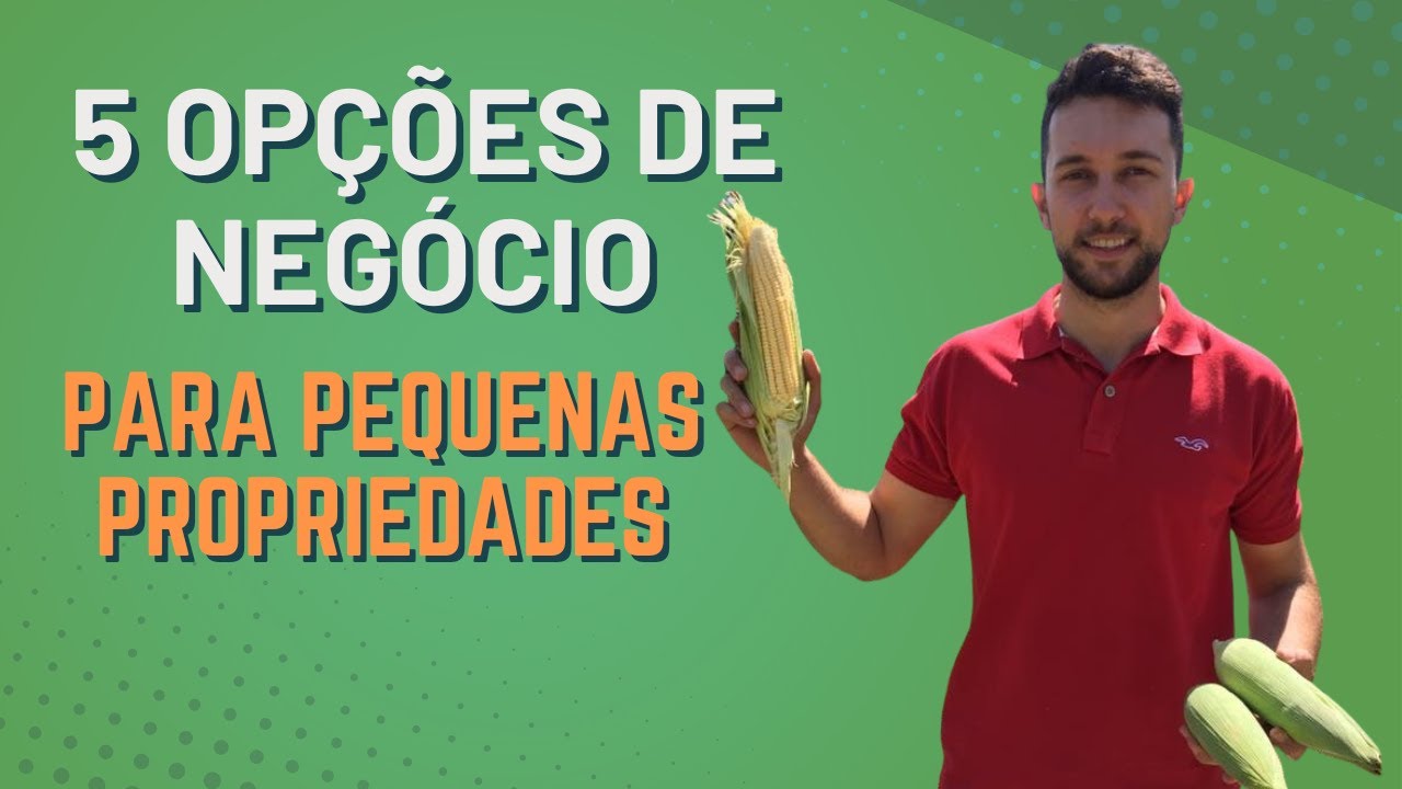 5 culturas/negócios rentáveis para pequenas propriedades rurais