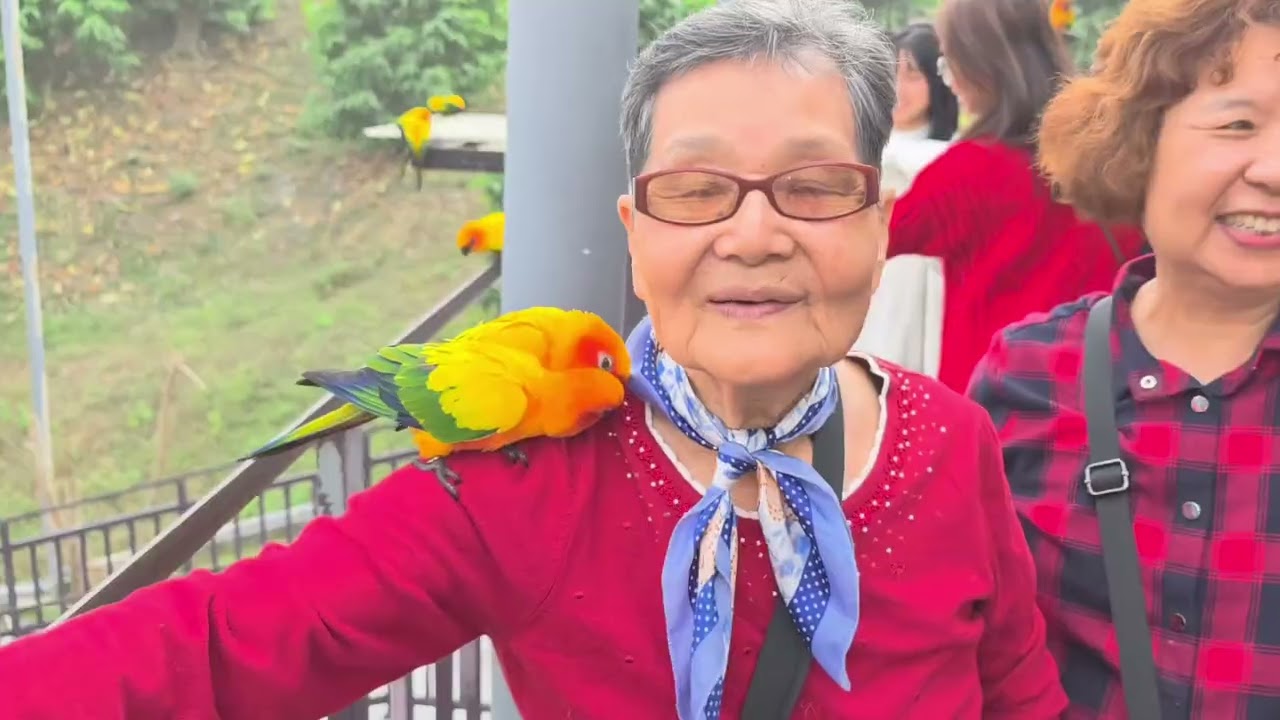 九九峰動物樂園，4分24秒版