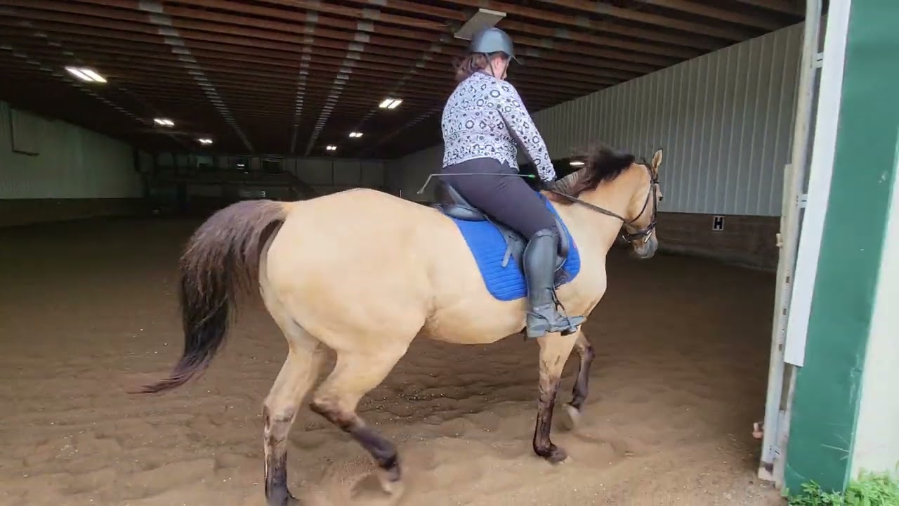 August Virtual.  Carmen Medina - Aztec Gold - Training Level 1