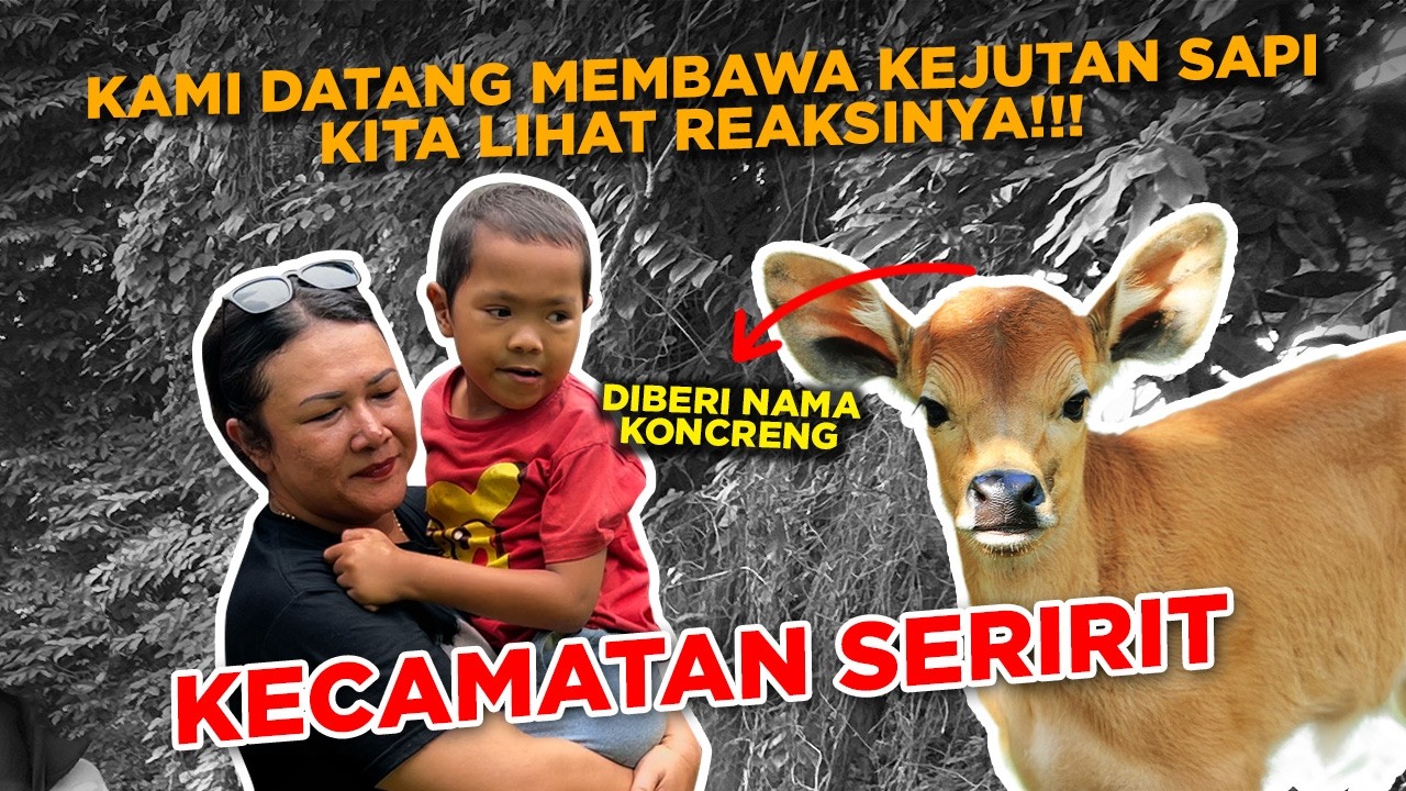 HARAPANNYA HANYA INGIN HEWAN TERNAK UNTUK HIDUP MANDIRI