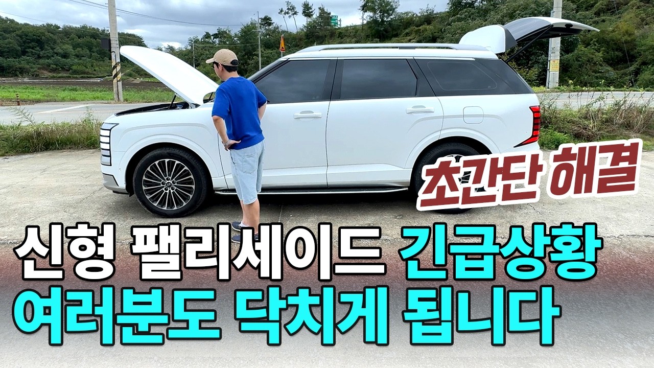 신형 팰리세이드 돌발상황 ! 언젠가 겪게됨 ㄷㄷ 이것만 기억하세요