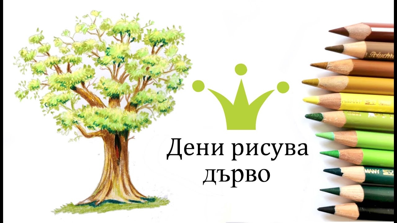 🌿Pисуване на дърво 🌳 Как се рисува бързо и лесно реалистично с цветни моливи