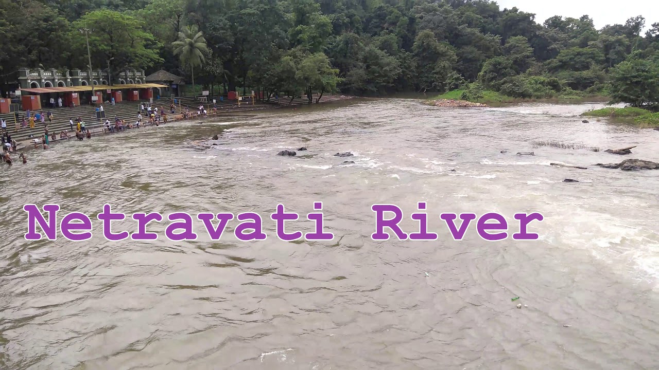 Bathing in Holy Netravati River in Dharmasthala, Karnataka, India :: video by Arun Kumar B