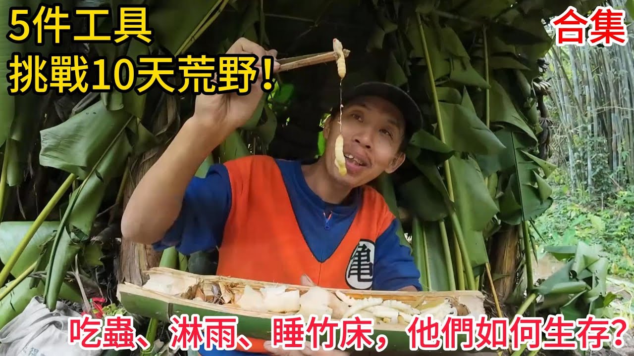 【PK挑戰賽|第二階段|荒野生存】下雨、低溫、沒食物！他們如何靠一把刀在荒野存活？天空哥「芭蕉水井」震驚全場！