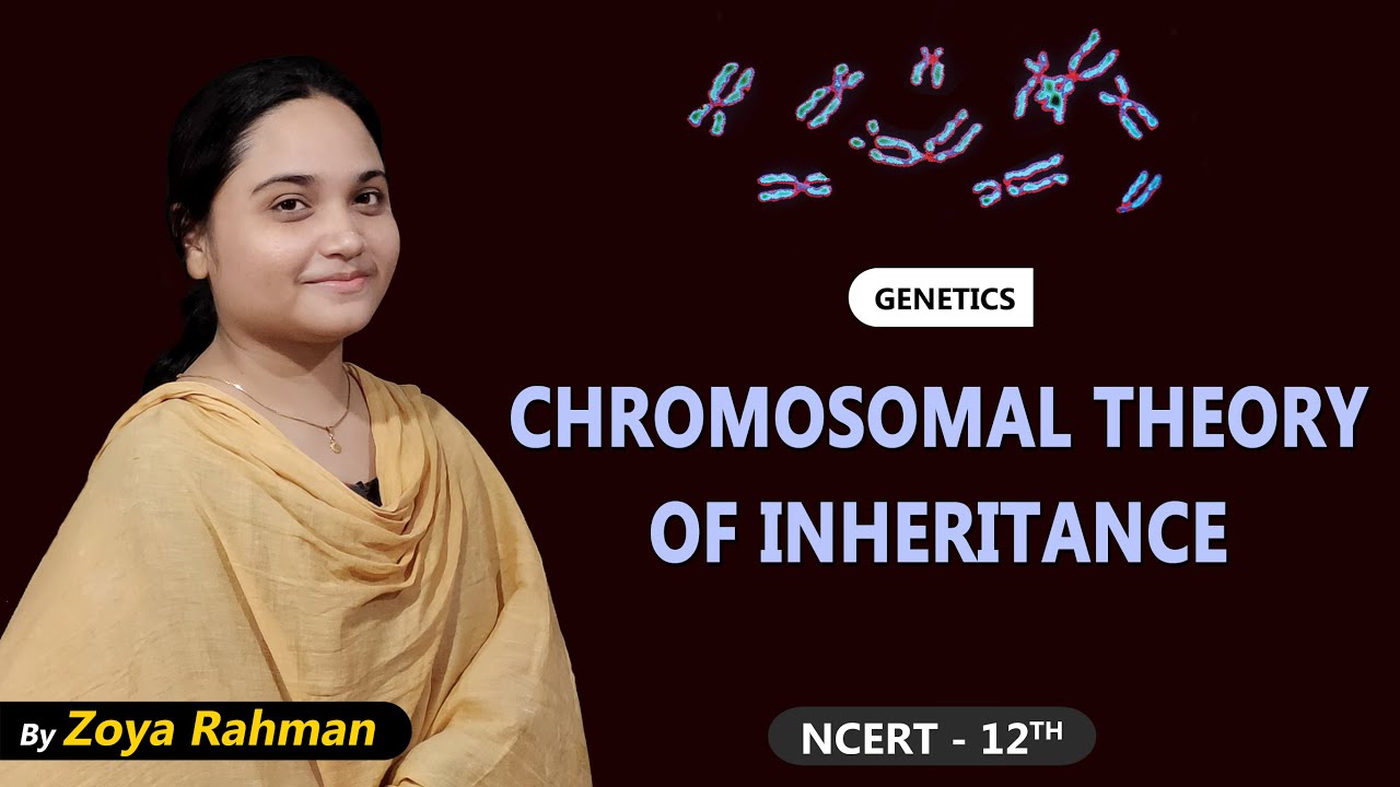 Chromosomal Theory of Inheritance | Genetics | Zoya Rahman | NCERT 12th | NEET - AIIMS