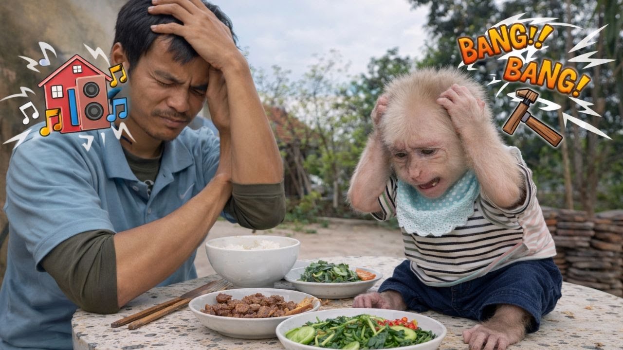 Что же стало причиной такого шума во время еды?