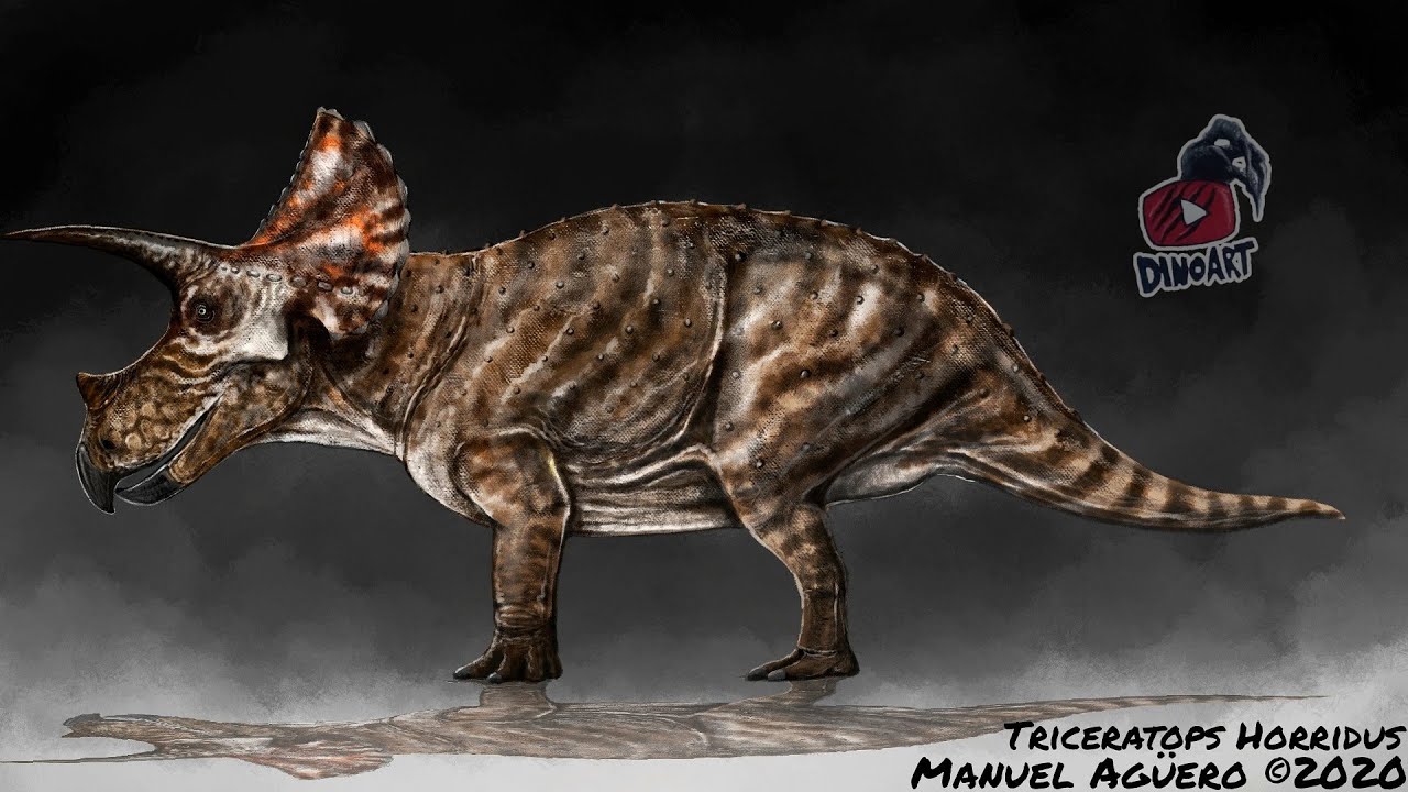 #3 Triceratops Horridus || Ilustración digital