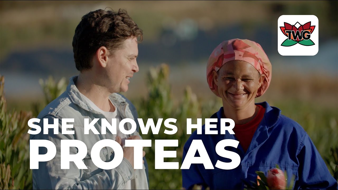 Harvesting Proteas with Estelle at Herold Farm, Garden Route, South Africa | Travel With Gareth