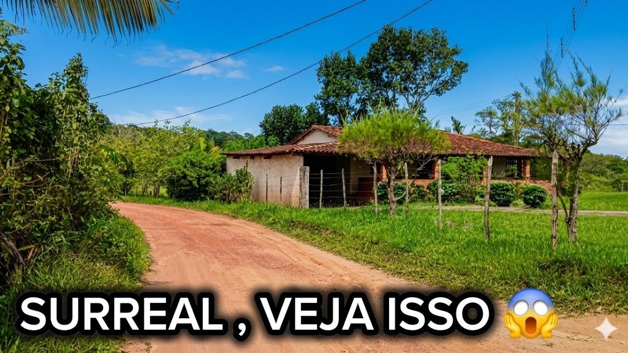 Sítio Balinho | município de Gravatá-PE 🍃🌵