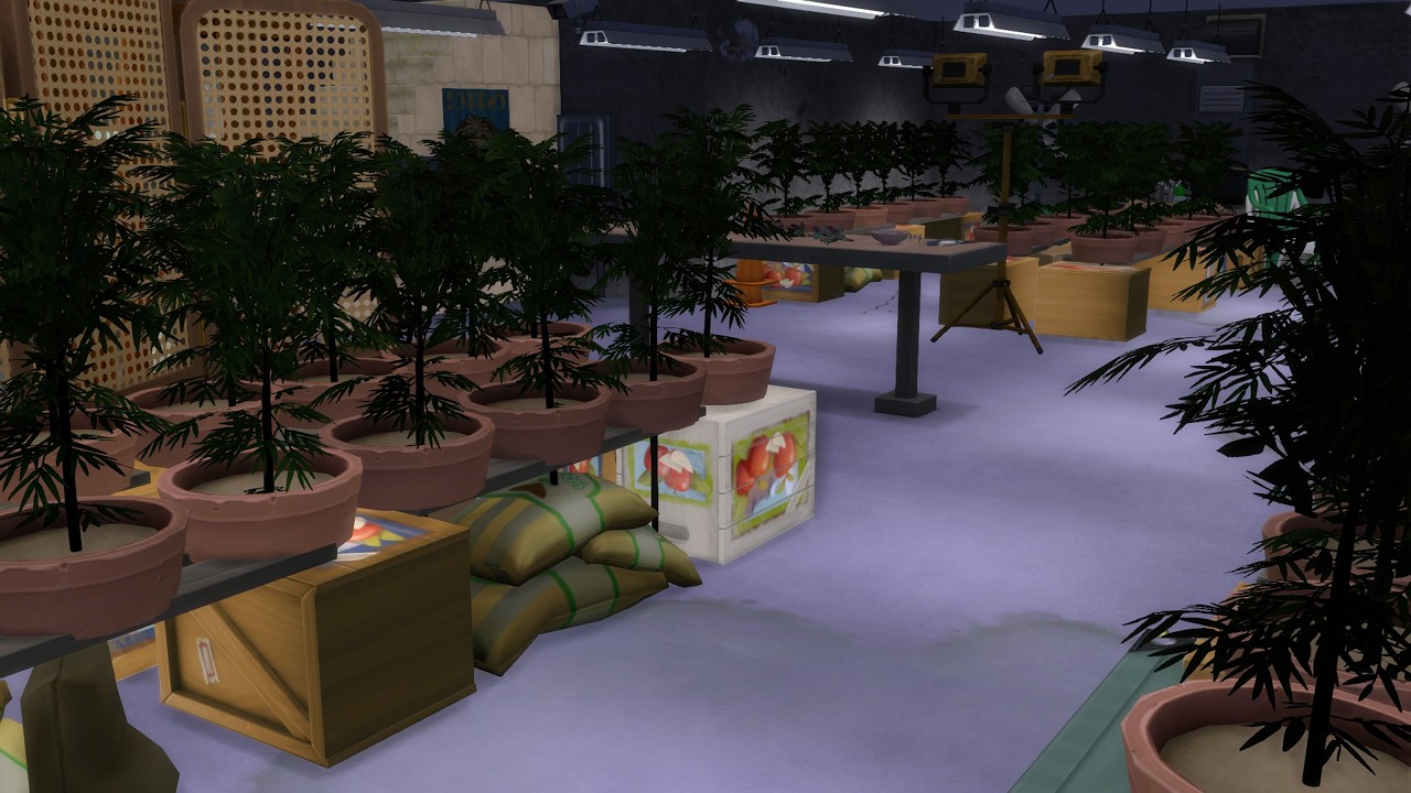 Ep# 489   Weed Grow Basement    The Sims 4 Gallery - Rooms