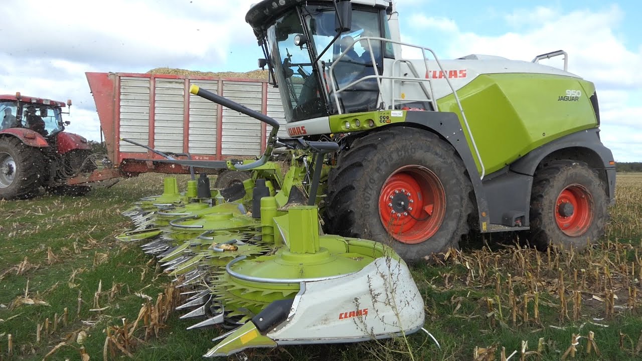 Claas Jaguar 950 w/ NEW 12-row Claas Orbis corn header chopping corn | Corn / Maize Season 2020