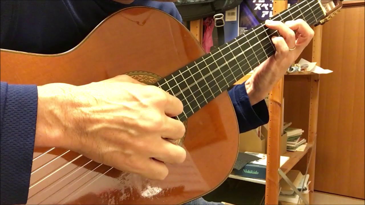 Valse des loges / Roland Dyens を弾いてみた。