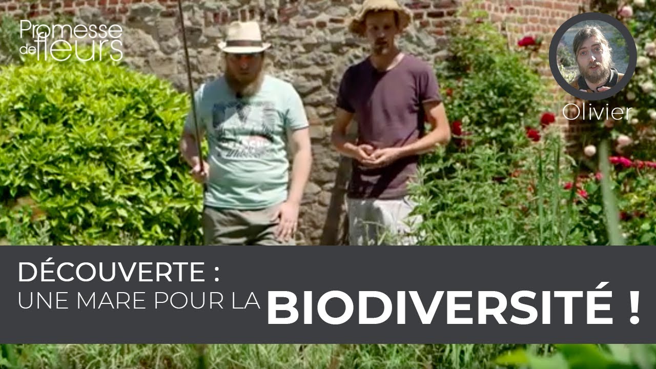 Découverte : Une mare pour la biodiversité !