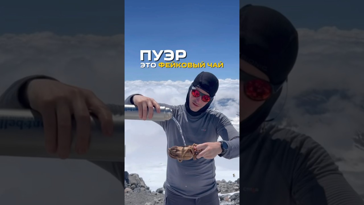 Пуэр - это фейковый чай😱😳. #чай #пуэр #шупуэр #чайныйпьяница #чайный #чайнаяцеремония #чайная