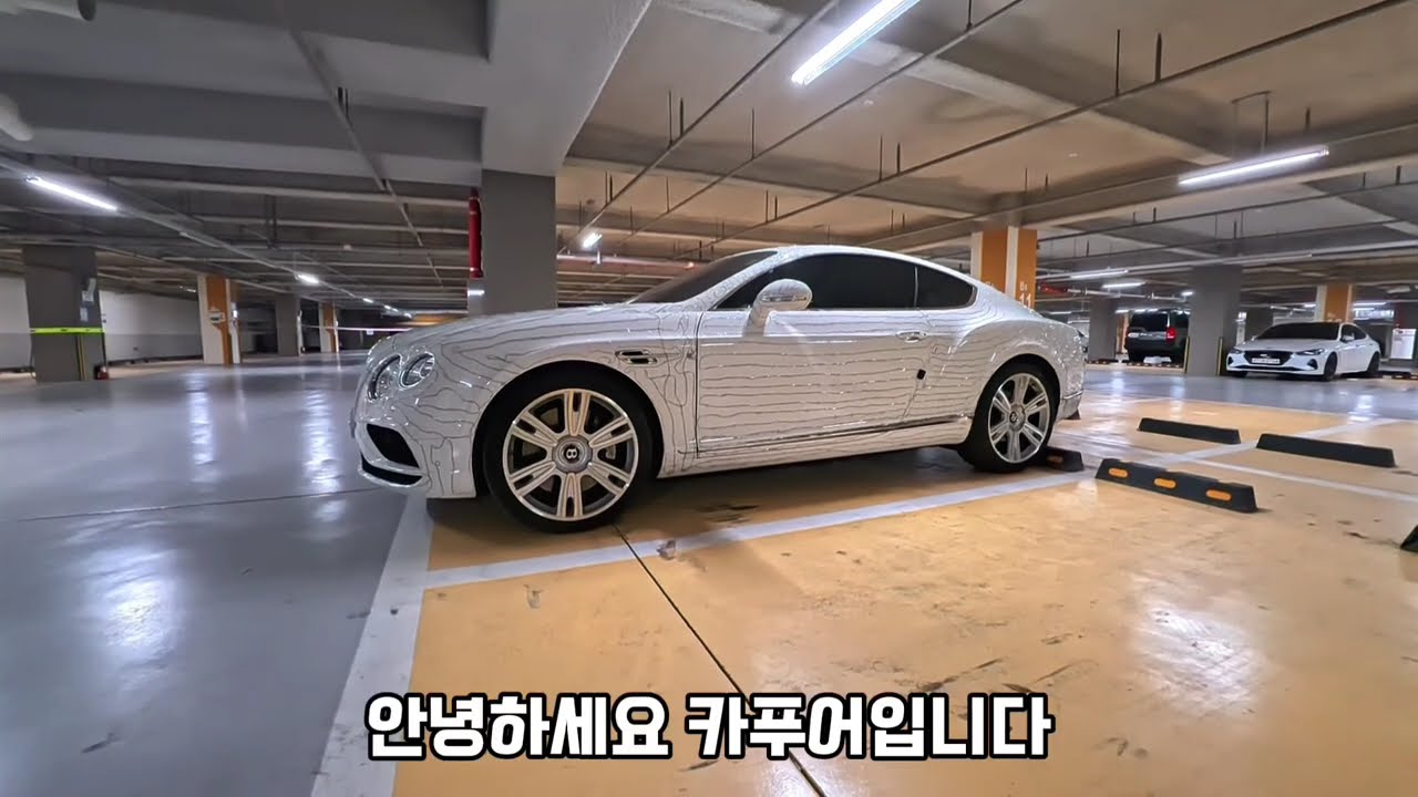 2026년 새해 모두 대박 나시길 바랍니다!!! 해동 용궁사 해돋이 보러... | 벤틀리 컨티넨탈GT