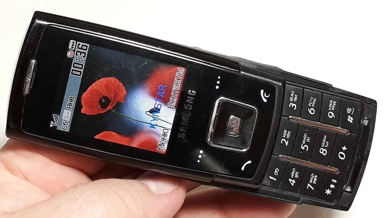 Samsung E900 Кот в мешке оказался полностью рабочим телефоном
