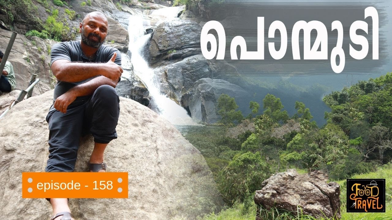 പൊന്മുടിയിലെ ആനകളും മീന്മുട്ടിയിലെ വെള്ളച്ചാട്ടവും | Spotting Elephants in Ponmudi Meenmutty Falls