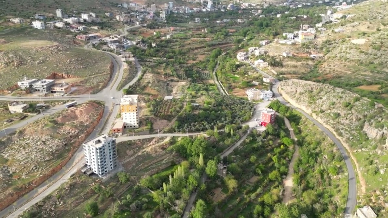Yeşilli dron görüntüsü.  