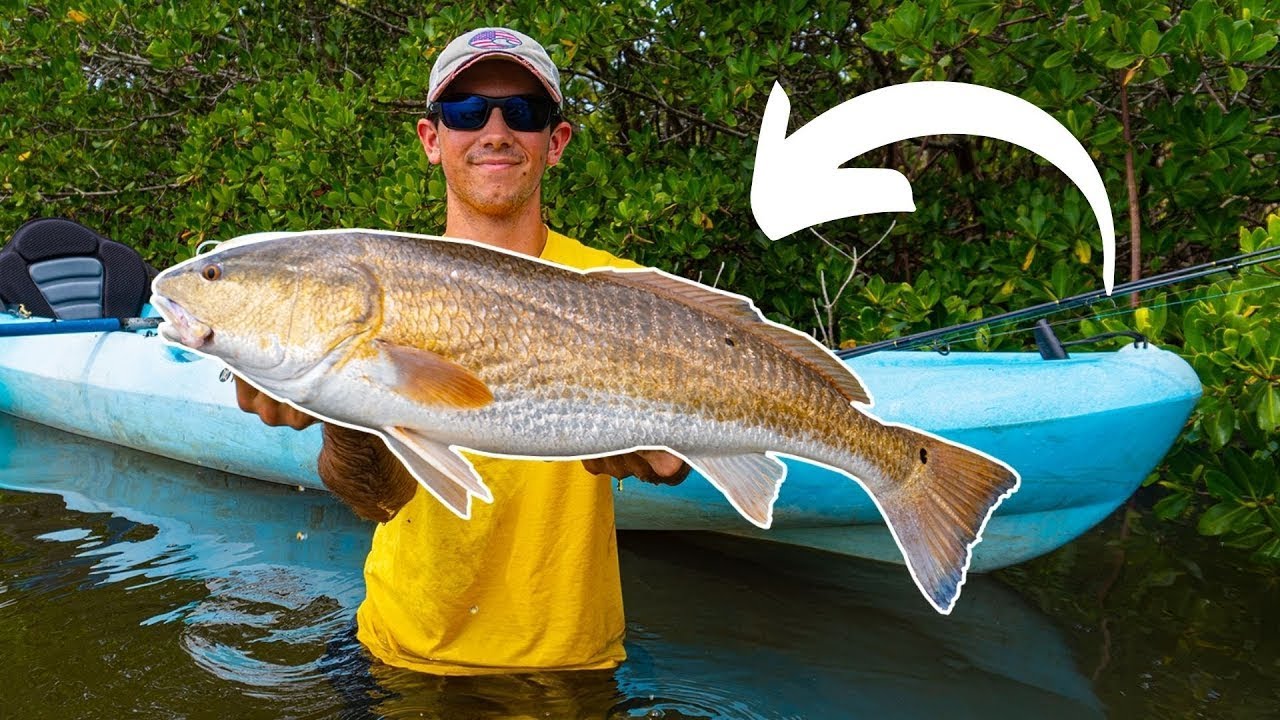 How to Catch Redfish in Tampa Bay - Easy Fishing Technique