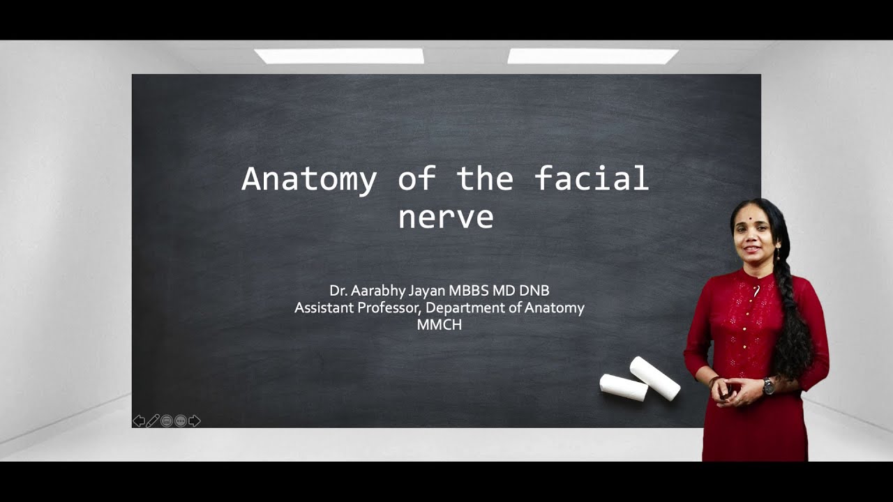 FACIAL NERVE 1