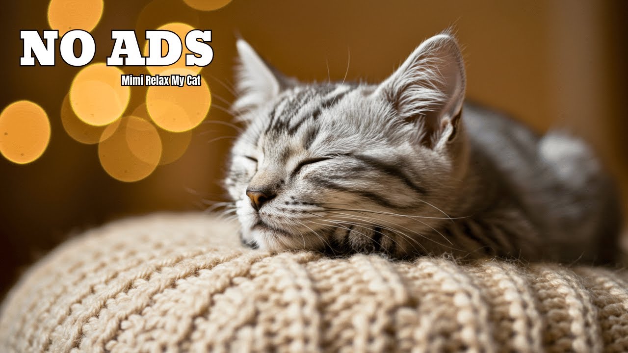 Sleep Music for Cats: 6 HOURS of Deep Sleep