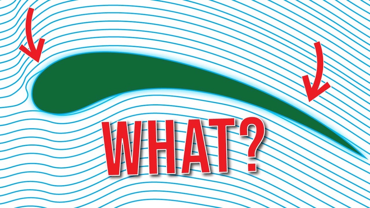 How do Wings Work? The Science Behind Bird Flight: How Wings Defy Gravity