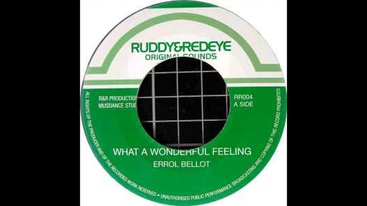 Errol Bellot - What A Wonderful Feeling