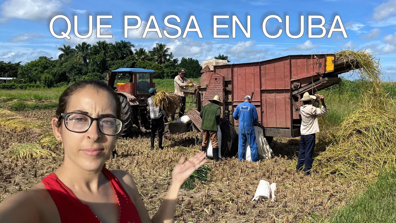 La oscura realidad de los campos cubanos: Descubre lo que pocos muestran