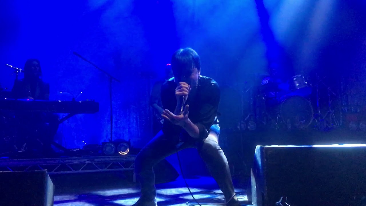Suede the Asphalt World 2019 Leeds Live