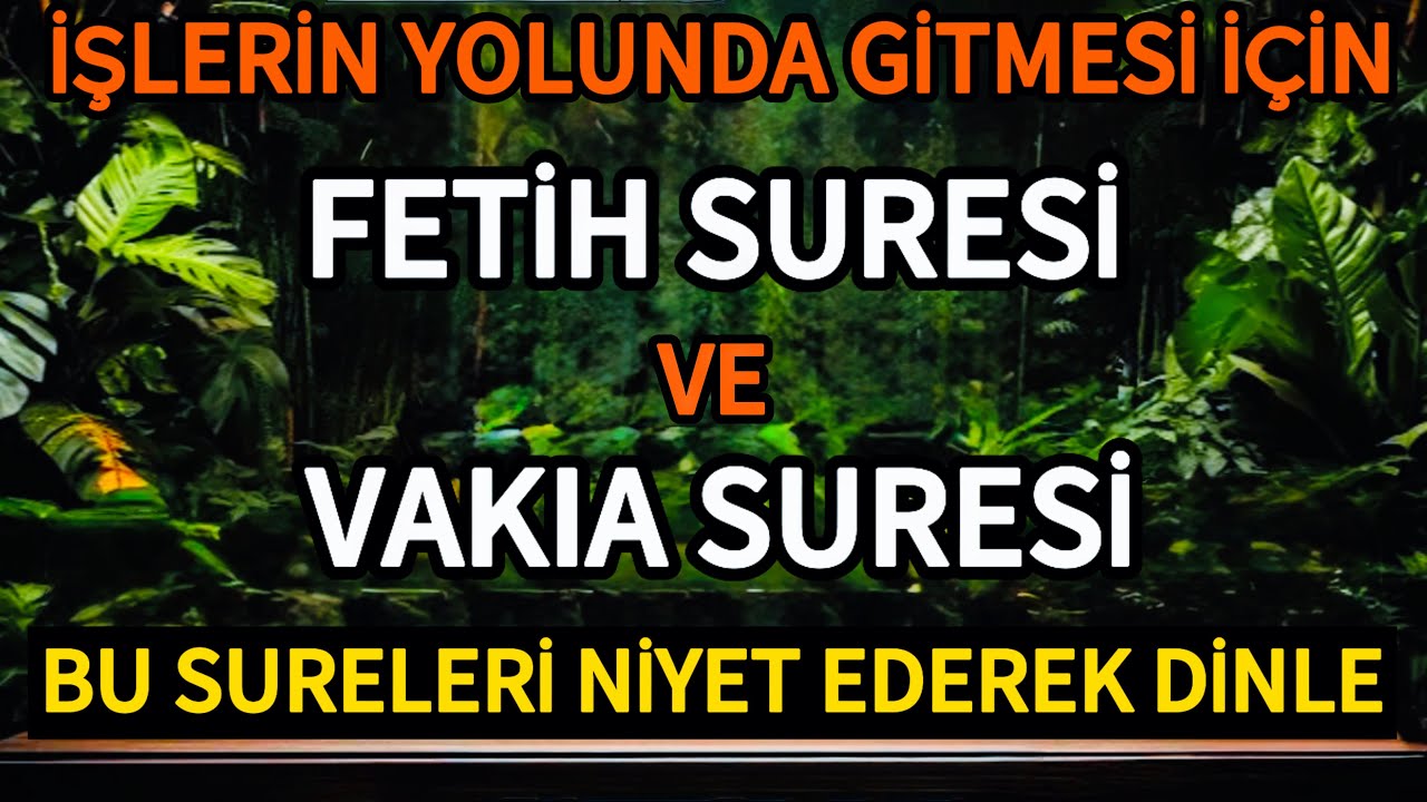 Fetih Suresi Ve Vakıa Suresi 🍂 İşlerin Yolunda Gitmesi İçin Bu Sureleri Niyet Ederek Dinleyelim🤲🏻