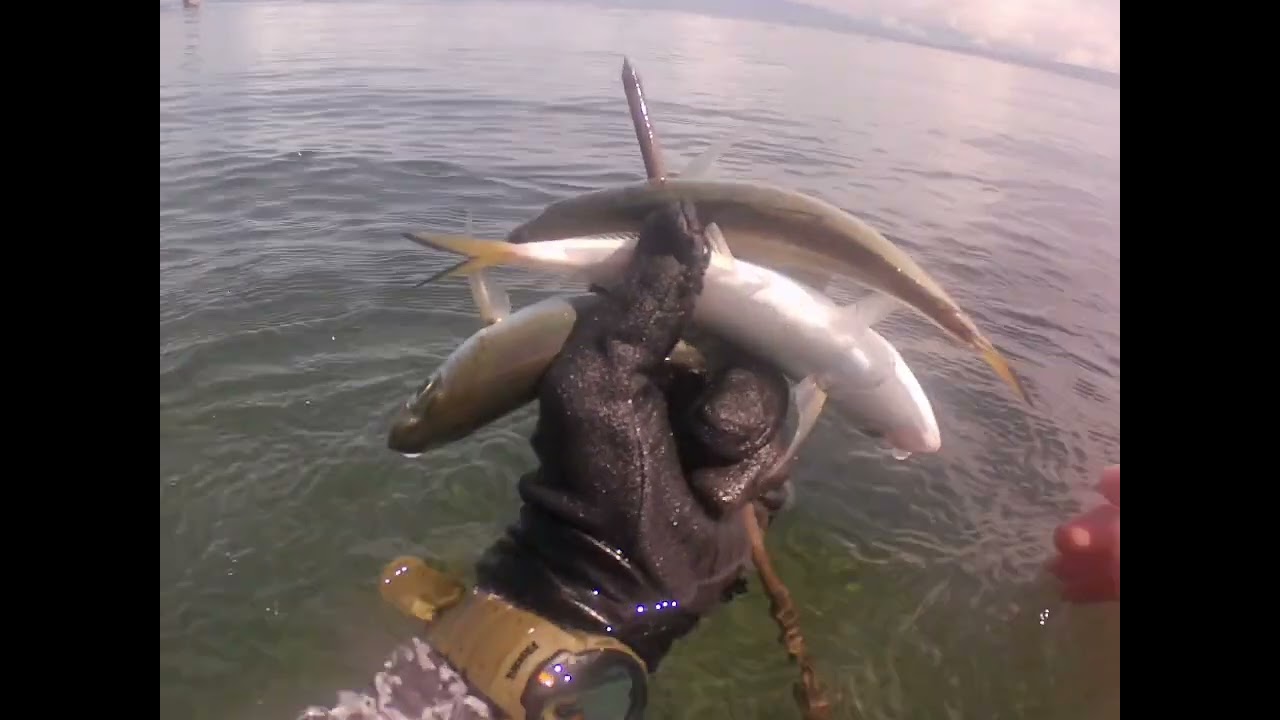 Morning Quick dive mga ka adventures pantalan sa medina Misamis Oriental 