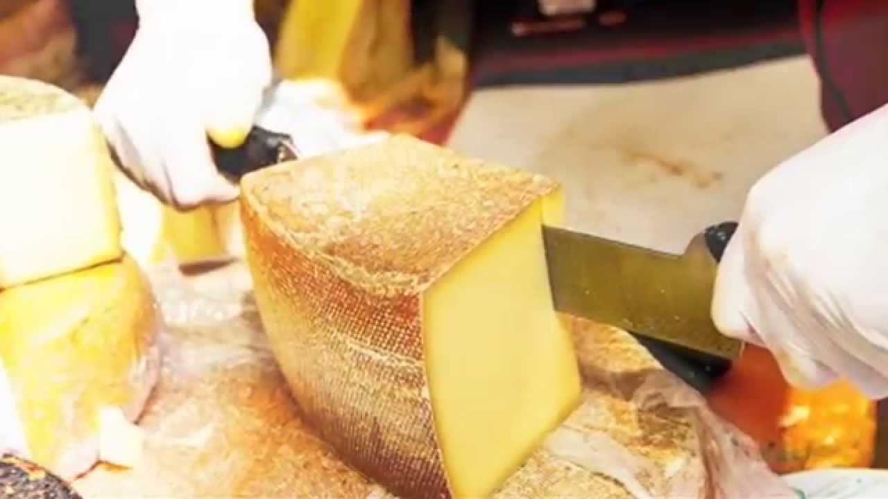 Cheese Making 101: Beginners Guide to Cheese Making At Home