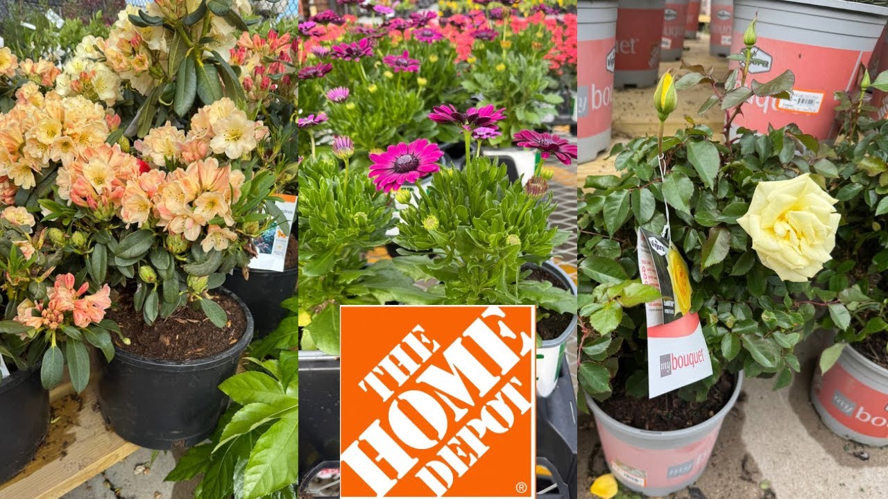 HOME DEPOT BEST NEW PLANTS ARRIVALS FOR SPRING/SUMMER | HOW TO MAKE YOUR GARDEN BEAUTIFUL?