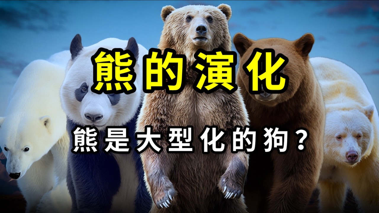 為什麼不能說「熊是由類似狗的動物演化而來」？