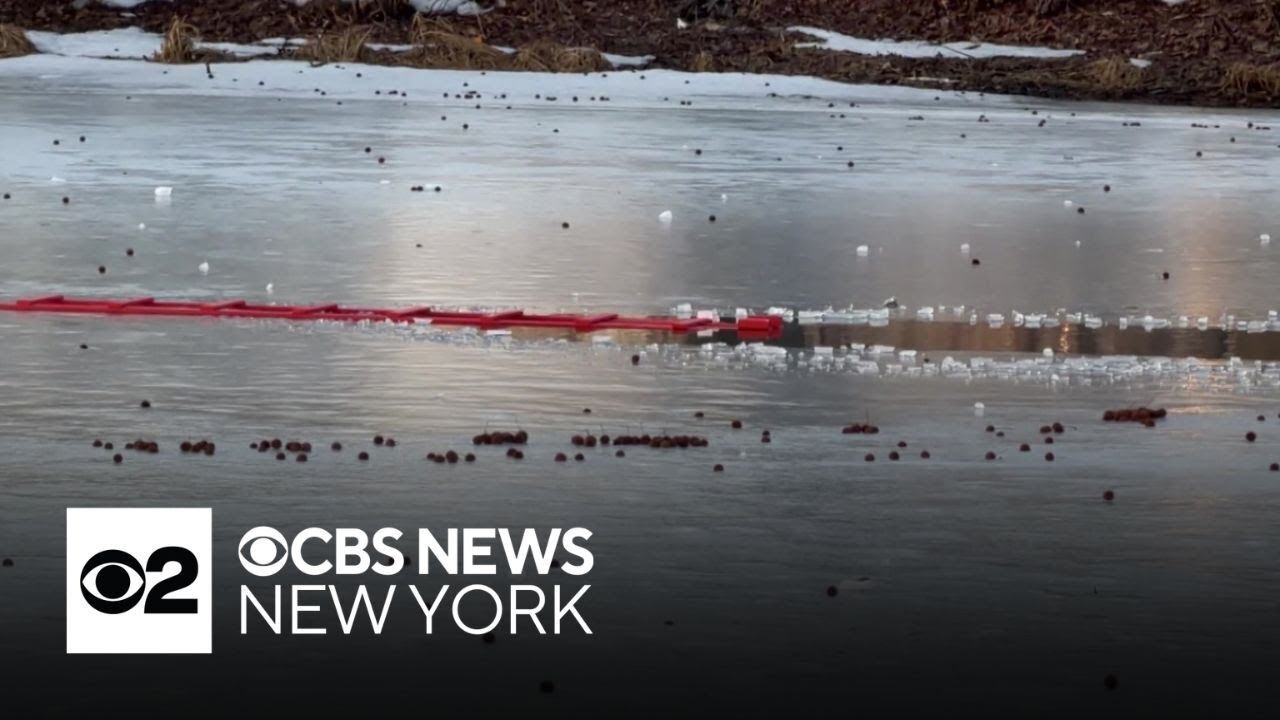 11-year-old rescued after falling through ice into pond at Queens park